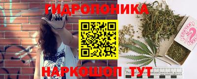 MESCALINE Камышлов