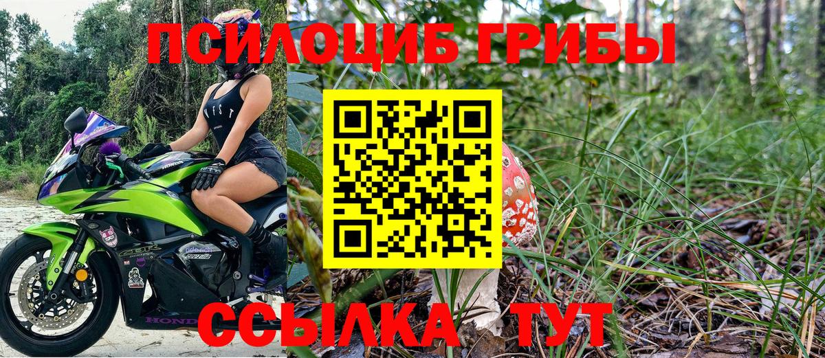 Галлюциногенные грибы Magic Shrooms  Вход с VPN  Лениногорск 